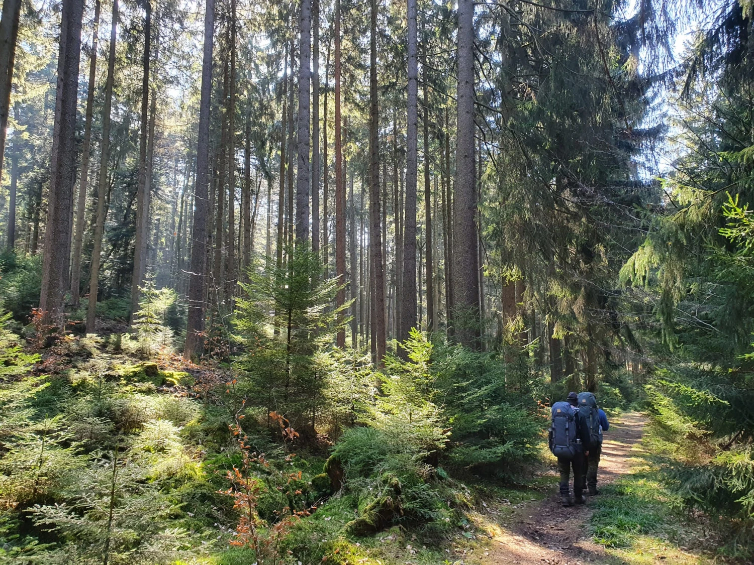 FJÄLLRÄVEN Kajka 75 - Trekkingrucksack 13 FJÄLLRÄVEN Kajka 75 - Trekkingrucksack – Bild 11