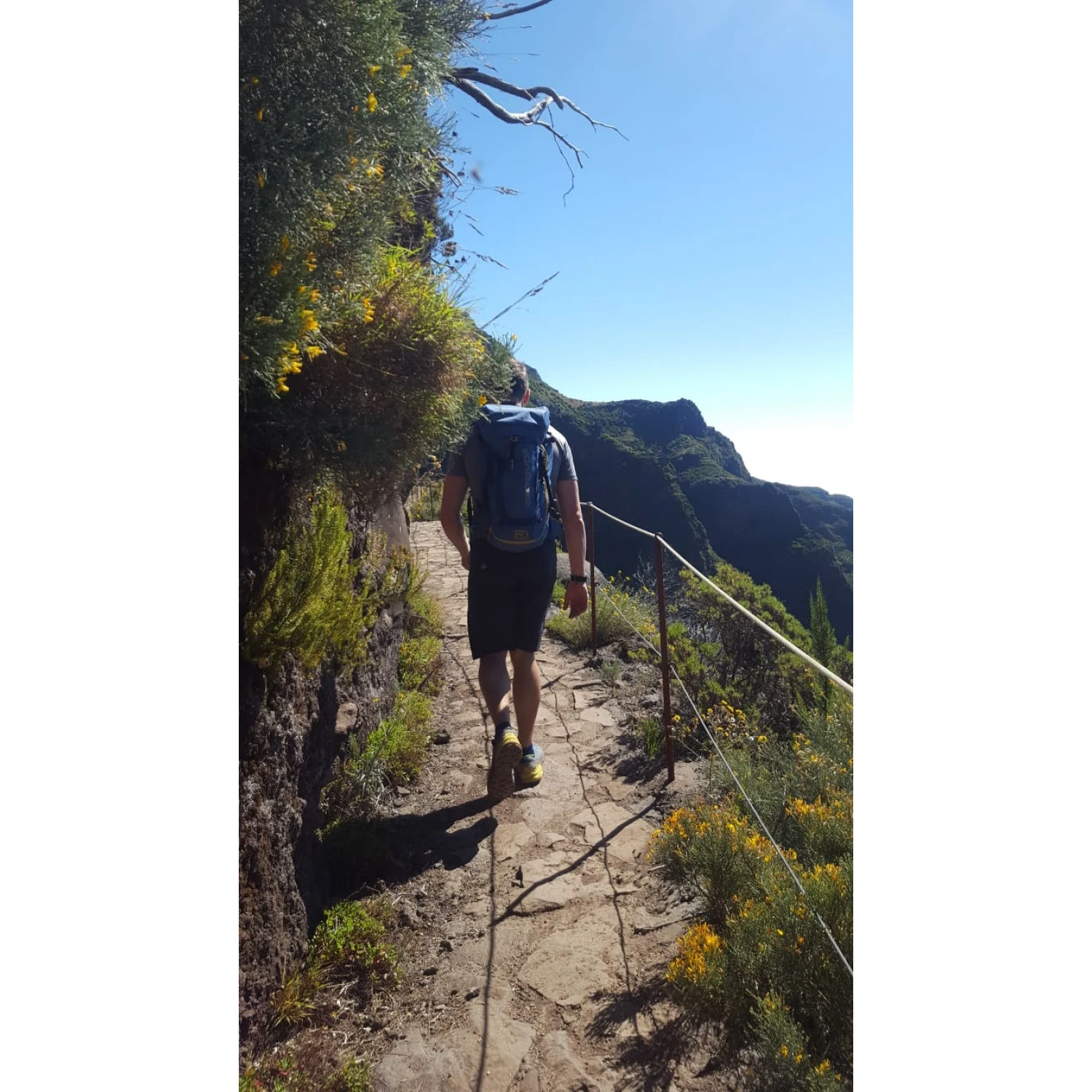 Ortovox Traverse 30 - Wanderrucksack 7 Ortovox Traverse 30 - Wanderrucksack – Bild 5